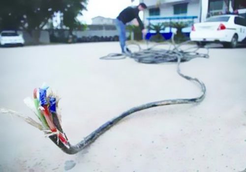 線纜行業“潛規則”：‘非標’電線電纜，實質上就是假冒偽劣產品！ 